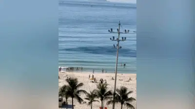 Cardumes de Peixes Impressionam na Praia do Leme: Alerta Climático no Rio