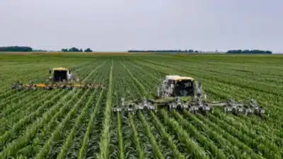 FGV Ibre: Produtividade Trabalhista Cresce 0,1&percnt; em 2025 – Veja Análise