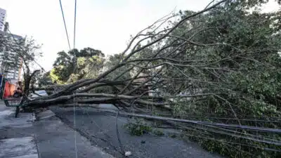 Enel enfrenta pressão: Falta de energia em SP atinge 3,1 milhões de clientes