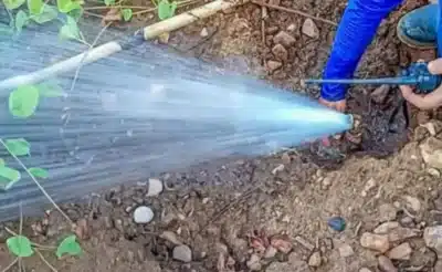 Grupo Pátria vence leilão de saneamento em Pernambuco com oferta ousada