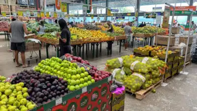 Inflação Brasileira Acelera em Novembro: IBGE Revela Dados Surpreendentes