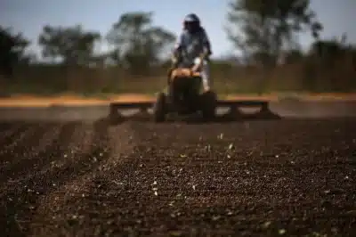 Santo Grão revoluciona o mundo do café com novo expresso de robusta