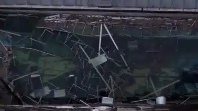 São Paulo: Chuvas e Ventos Causam Desabamentos e Preocupação na USP