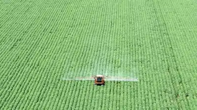 Agronegócio brasileiro vê oportunidades no acordo Mercosul-UE e produtos gourmet