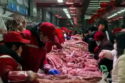 Indonésia autoriza exportação de carne bovina de 14 frigoríficos brasileiros