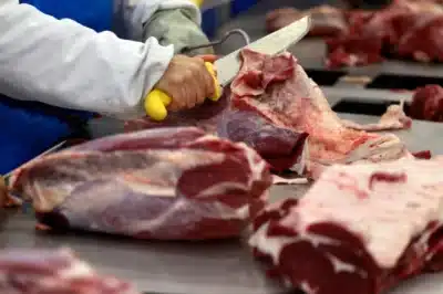 Mato Grosso Bombeia Exportação de Carne Bovina e Quebra Recordes em 2025!