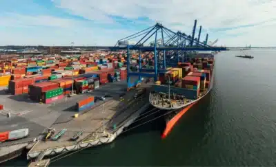 Agronegócio brasileiro conquista 527 oportunidades de exportação para Vietnã e Arábia Saudita