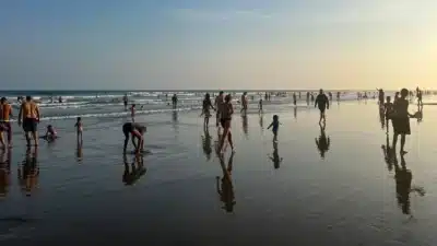 Cetesb: 86&percnt; das praias paulistas aptas para banho – confira!