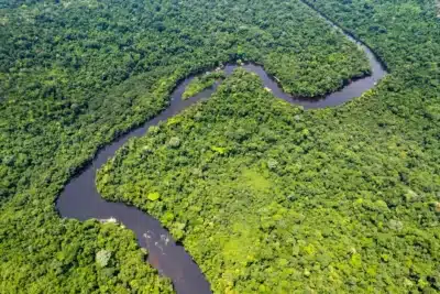 Banco da Amazônia atrai investimentos estrangeiros para desenvolvimento sustentável na região