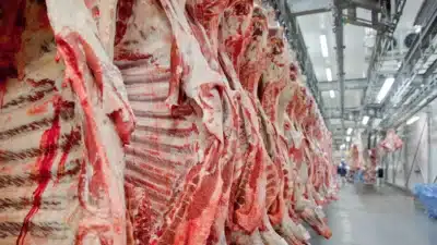 Brasil esgota cota de exportação de carne para EUA em tempo recorde de 6 dias