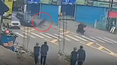 Acidente Grave em SP: Motorista e Motociclista Fatalmente Envolvidos no M’Boi Mirim