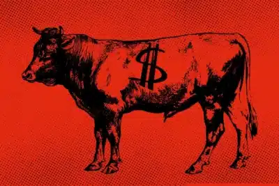 Frigoríficos brasileiros enfrentam desafios com novas quotas e tarifas na China