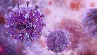 Fernanda Torres alerta: Crise climática ameaça tratamento do HIV no Brasil e África