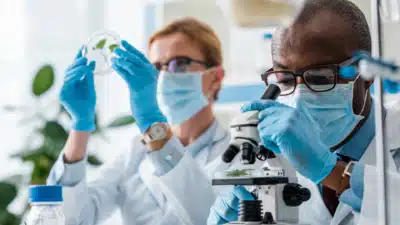 Brasil Busca Reformas para Impulsionar Inovação e Propriedade Intelectual