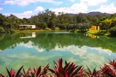 Inhotim lidera ranking do NYT com destaque para arte e natureza no Brasil