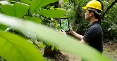 Hylaea Descobre Planta Amazônica que Pode Tratar Dependência e Doenças Neurodegenerativas