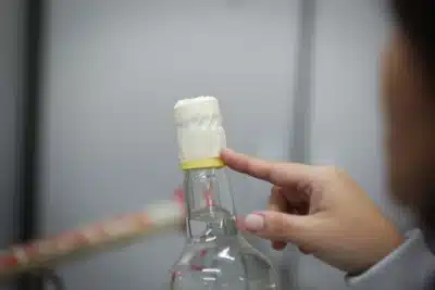 Ribeira do Pombal: Intoxicação por Metanol Expande Medidas de Emergência