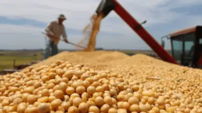Abiove busca revogar Moratória da Soja após veto do governo de Mato Grosso