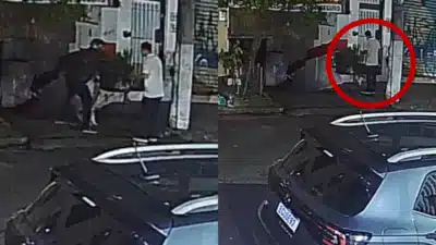 Assalto em Pinheiros: Homem e Cachorro Vítimas de Ação Violenta em SP