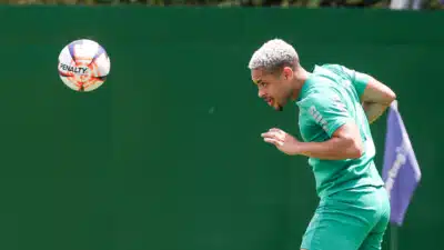 Palmeiras se prepara para clássico contra São Paulo na Arena Barueri!
