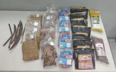 Furto em Pizzaria em Porto Alegre: Homem Detido com Ingredientes Estranhos