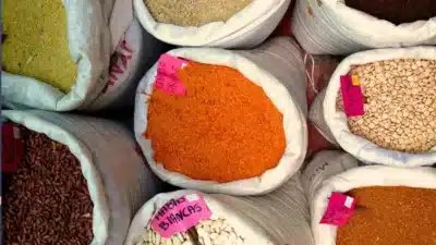 Brasil e Venezuela: Comércio Agrícola em Evolução e Desafios no Agro