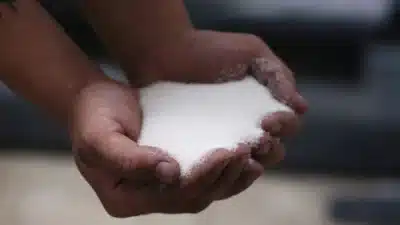 Índia dispara exportações de açúcar e pressiona preços no mercado global