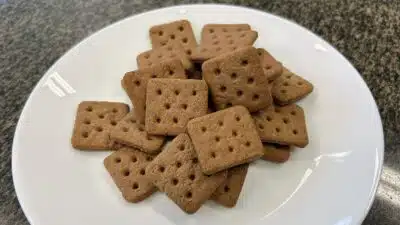 Alimentos com Insetos: Embrapa Revela Estratégias Surpreendidas para Vender Insetos no Brasil