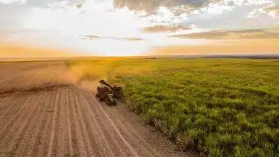 Reforma Tributária Impacta Setor Bioenergético Brasileiro e Sustentabilidade