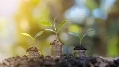 Leilão do Eco Invest Finaliza com R$15 Bilhões e Impulsiona Investimentos Sustentáveis