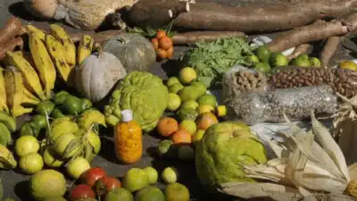 Nutrólogos alertam: Estratégias para Alimentação Saudável e Duradoura