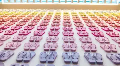 Alpargatas elege João Moreira Salles como novo presidente de conselho