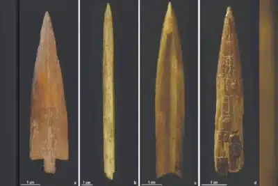 Arqueólogos encontram pontas de flecha de guanaco que revelam conflitos e identidade em Córdoba