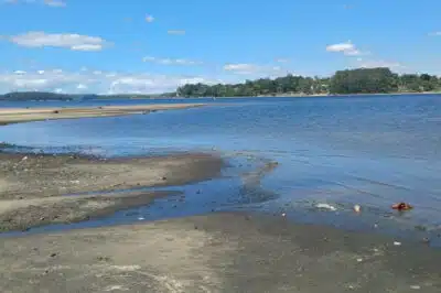 Crise Hídrica em SP: Desigualdade e Falta de Prioridade em São Paulo