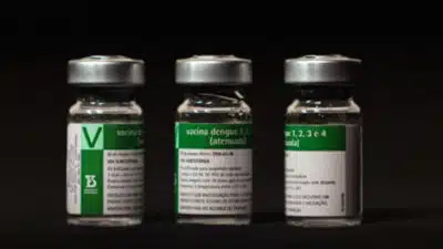 Instituto Butantan inicia vacina contra dengue em 3 cidades com 74,7&percnt; de eficácia