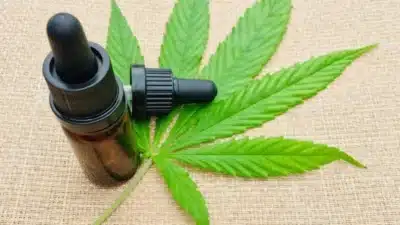 Anvisa autoriza cultivo de cannabis medicinal após pressão do STJ