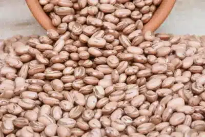 Feijão Preto e Carioca Disparam: Preços Alcançam Níveis Recorde em 2025