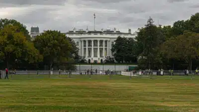 Agente do ICE detido após incidente em Minneapolis; arma disparada em manifestação