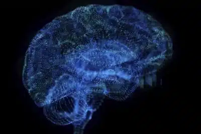 Neurologista Revela Protocolo para Cérebro Resiliente e Saúde Mental