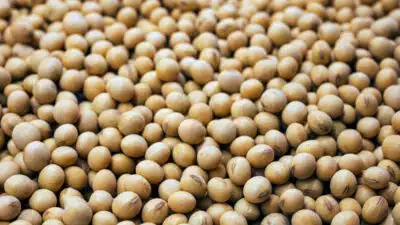 AGU busca prorrogação de benefícios fiscais e moratória da soja no STF