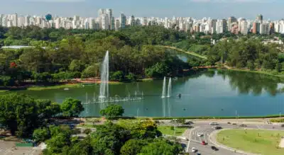 Feridos em Queda de Árvore no Ibirapuera: Investigação em Andamento