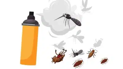 Procon-SP: Variação de Preços em Repelentes de Insetos Atinge 110&percnt;