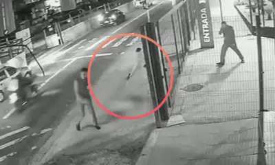 São Paulo em choque: Homem atira contra cachorro e debate sobre violência animal explode!