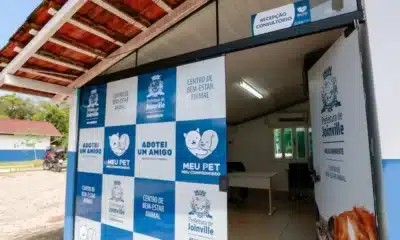 Centro de Bem-Estar em Joinville (SC) Acusado de Eutanásias Irregulares: O Que Revela a Investigação