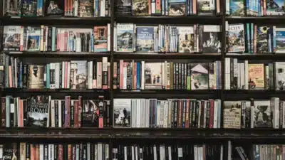 Mercado Editorial Brasileiro Cresce: Faturamento e Vendas Disparam em 2025