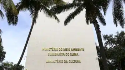 Ministério da Cultura confirma: Tela Brasil em fase final de testes e lançamento em 2026