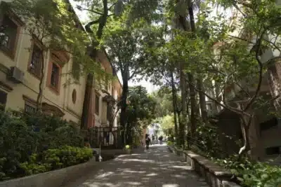 PUC-SP abre inscrições para vestibular de verão – Vagas em cursos de saúde e engenharia!