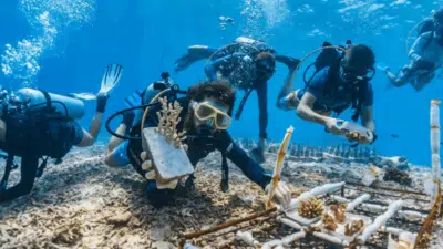Brasil Garante Voz Crucial no Novo Tratado do Alto-Mar e Economia Azul