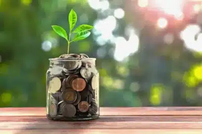 Harry Luu: Matemático e Ex-Professor Cria Negócio Milionário com Plantas Raras em 2026