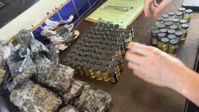 Receita Federal apreende 500 anabolizantes em Foz do Iguaçu: prisão e apreensão chocantes!